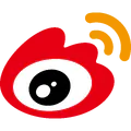 WBG